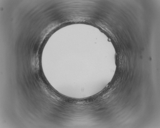 X0000077330584200611171809