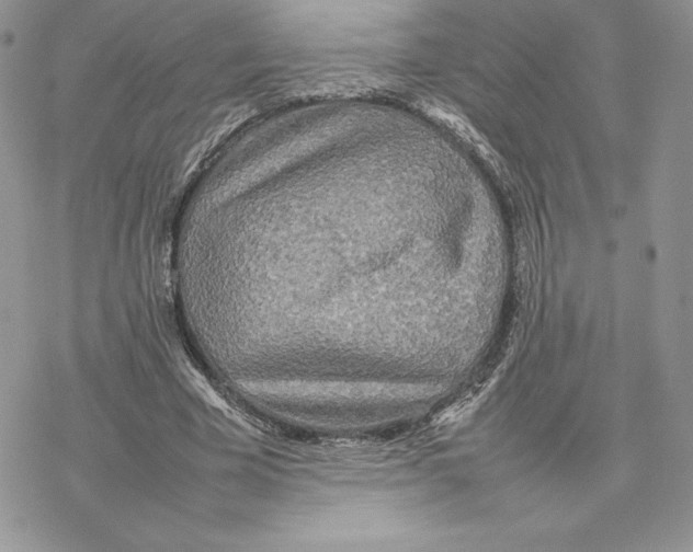 X0000077330585200611171809