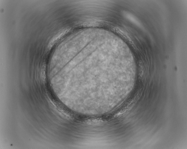 X0000077330586200611171809