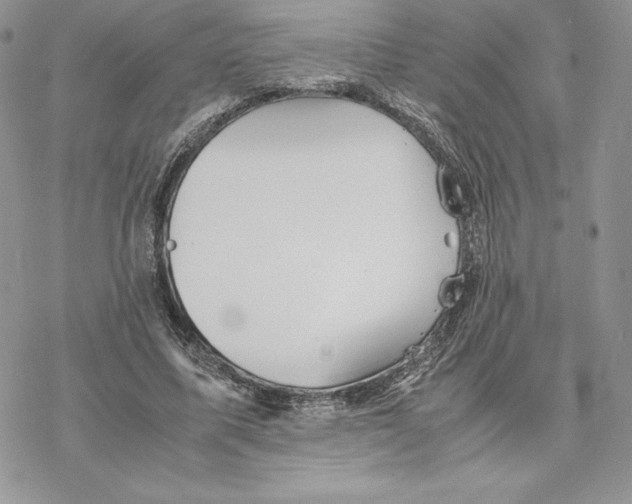 X0000077330587200611171809