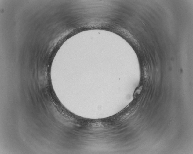 X0000077330588200611171809