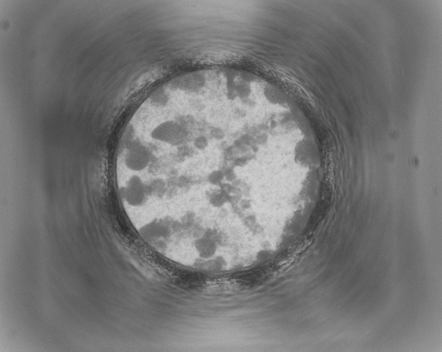 X0000077330591200611171809