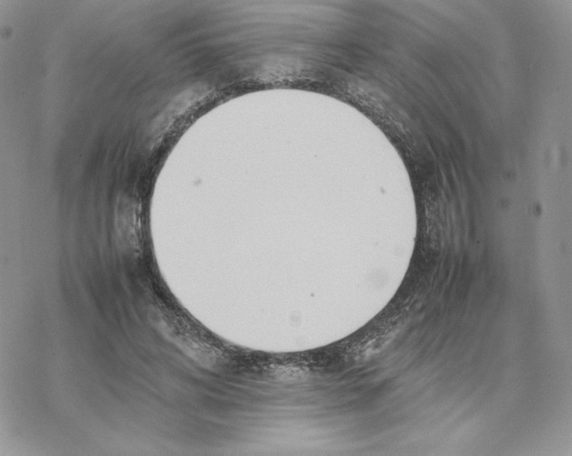 X0000077330592200611171809