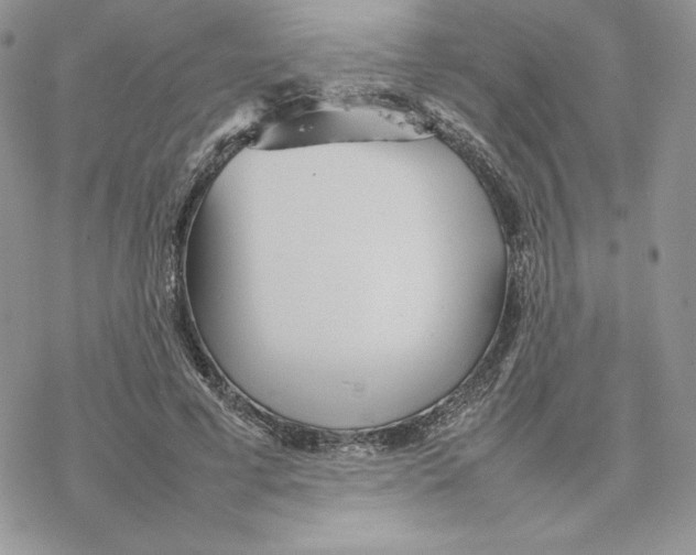 X0000077330593200611171809