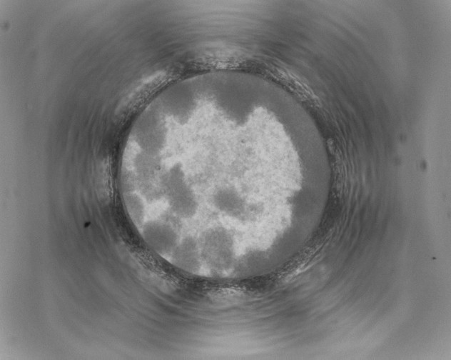 X0000077330594200611171809