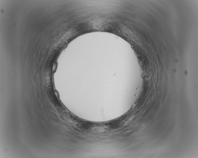 X0000077330595200611171809