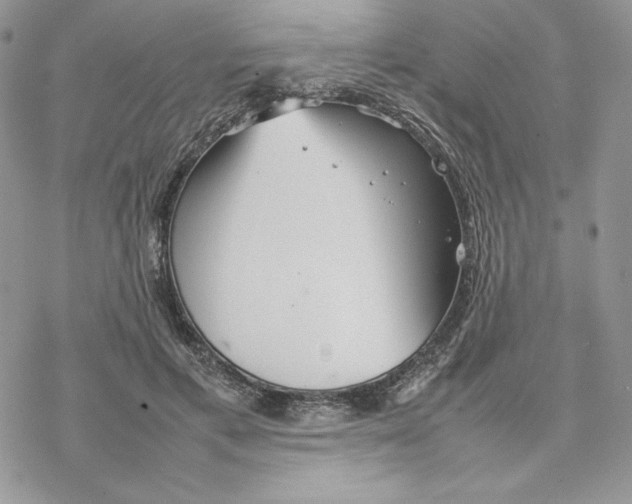 X0000077330597200611171809