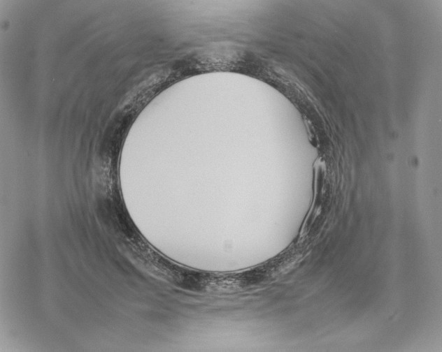 X0000077330599200611171809