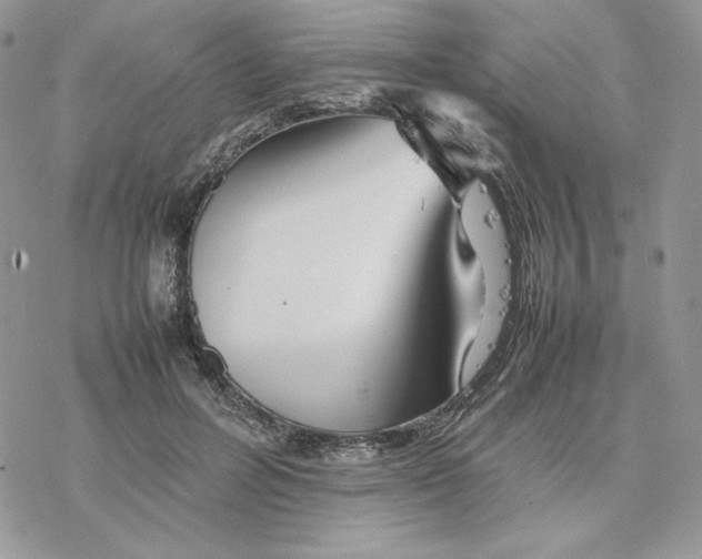 X0000077330600200611171809