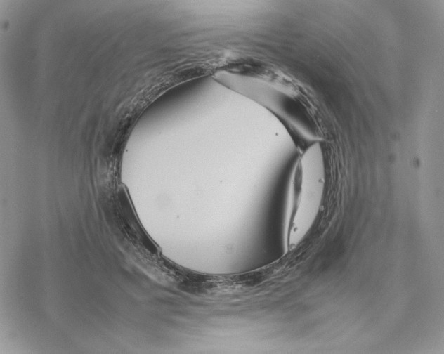 X0000077330601200611171809