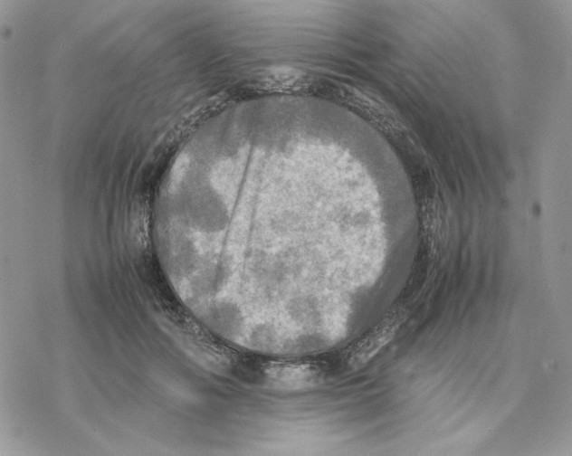 X0000077330602200611171809