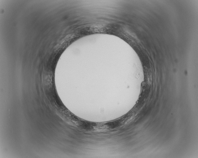 X0000077330603200611171809