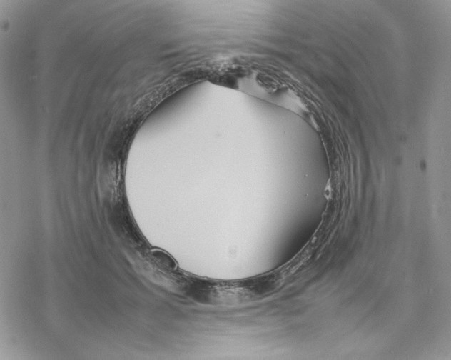 X0000077330605200611171809