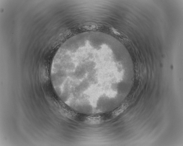 X0000077330606200611171809