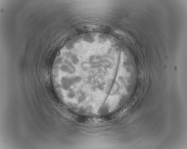 X0000077330607200611171809