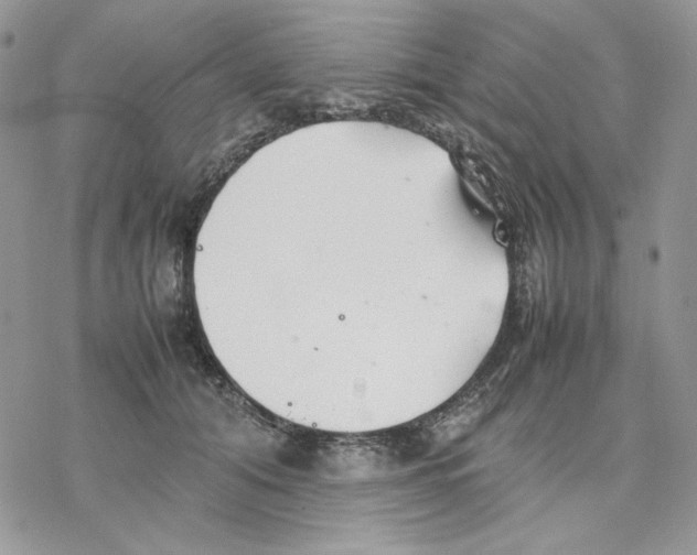 X0000077330608200611171809