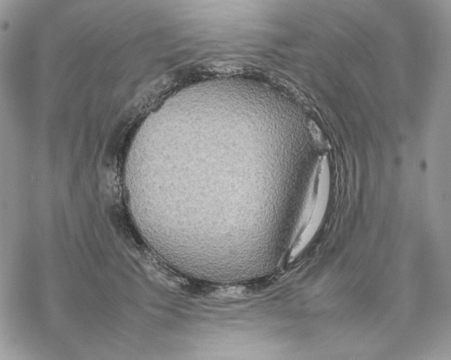 X0000077330609200611171809