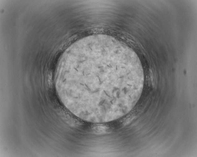 X0000077330610200611171809