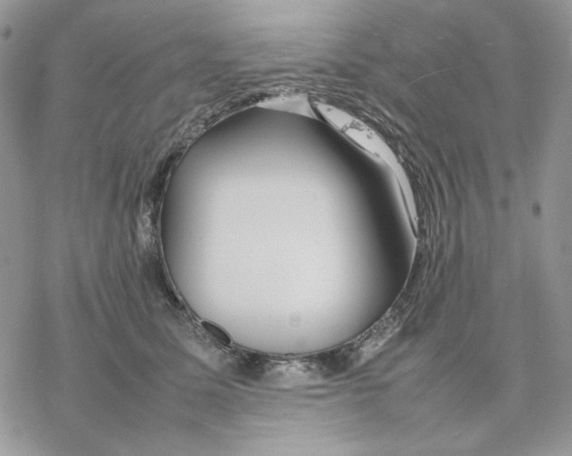 X0000077330611200611171809