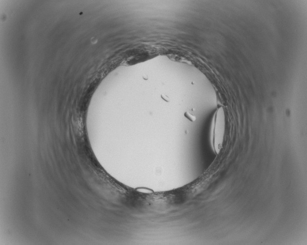 X0000077330613200611171809