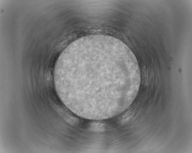 X0000077330614200611171809