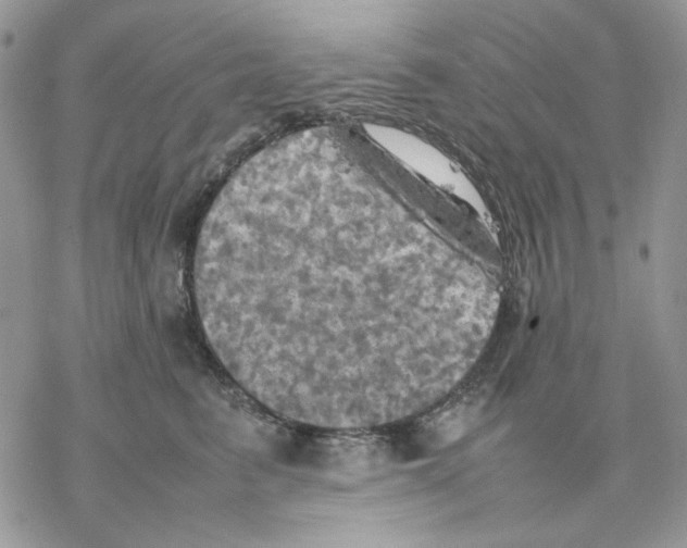 X0000077330615200611171809