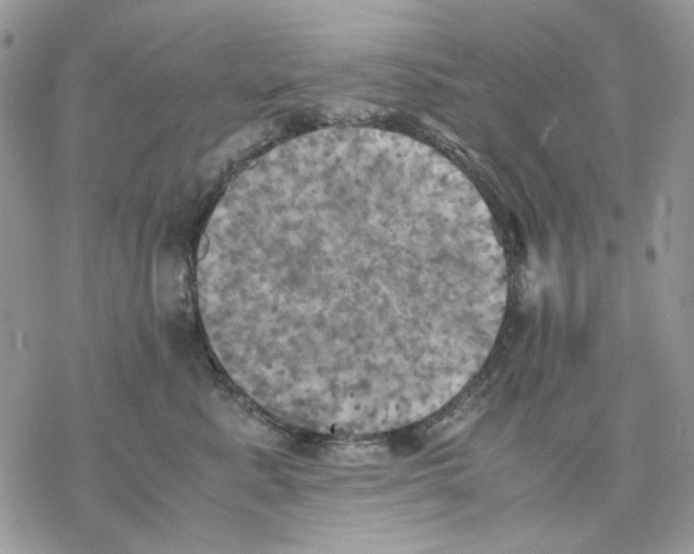 X0000077330619200611171809