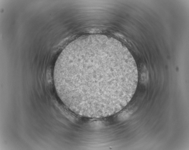 X0000077330620200611171809