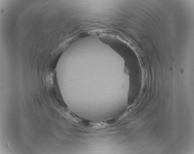 X0000077330621200611171809