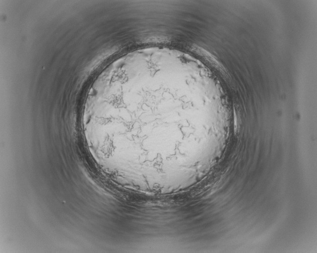 X0000077330627200611171808