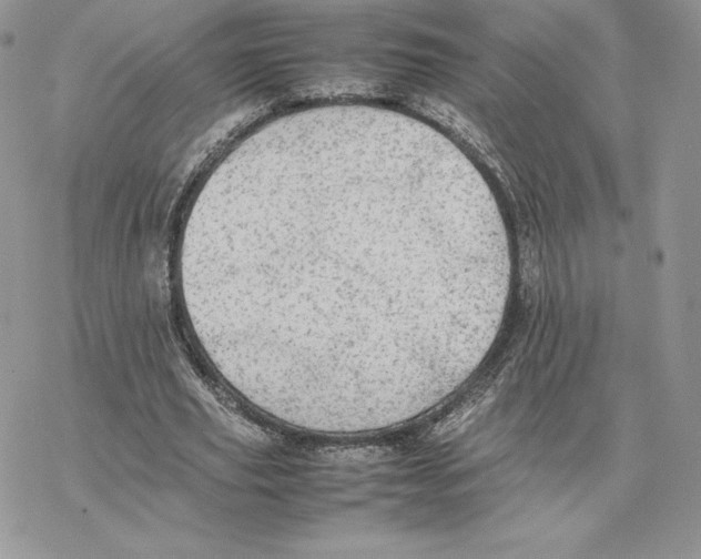 X0000077330629200611171808