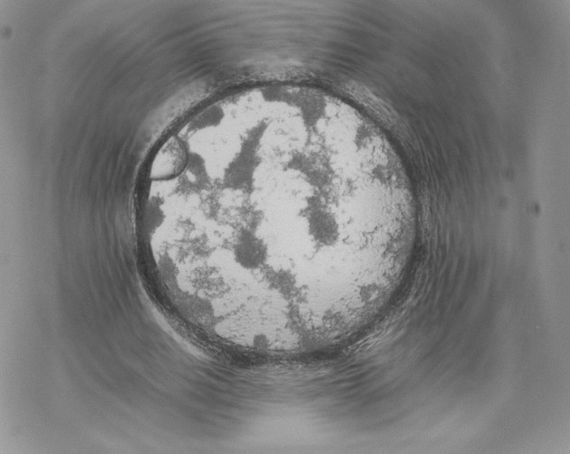 X0000077330630200611171808