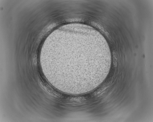 X0000077330631200611171808