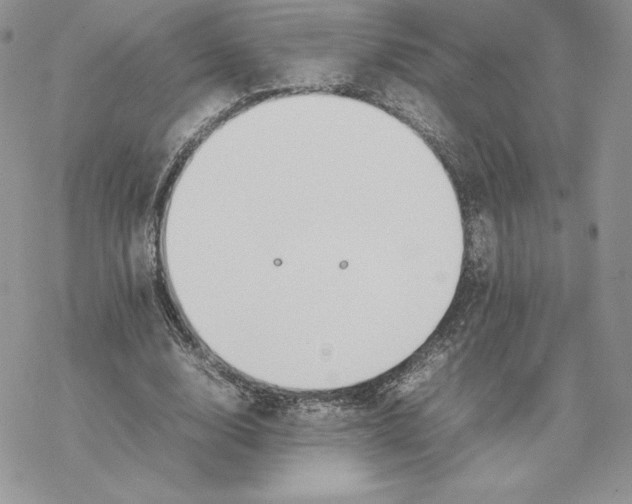 X0000077330632200611171808