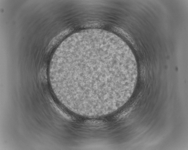 X0000077330633200611171808