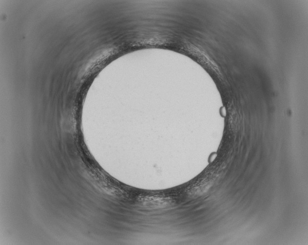 X0000077330635200611171808