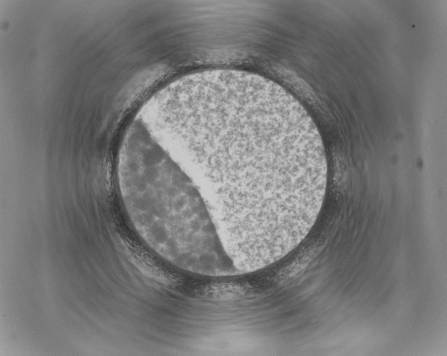 X0000077330636200611171808