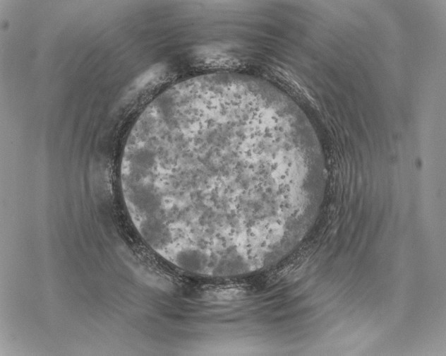 X0000077330643200611171808