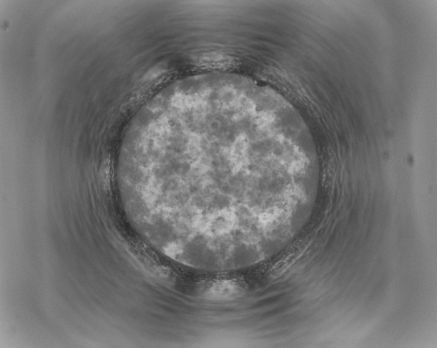 X0000077330647200611171808