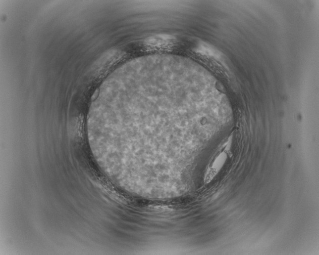 X0000077330649200611171808