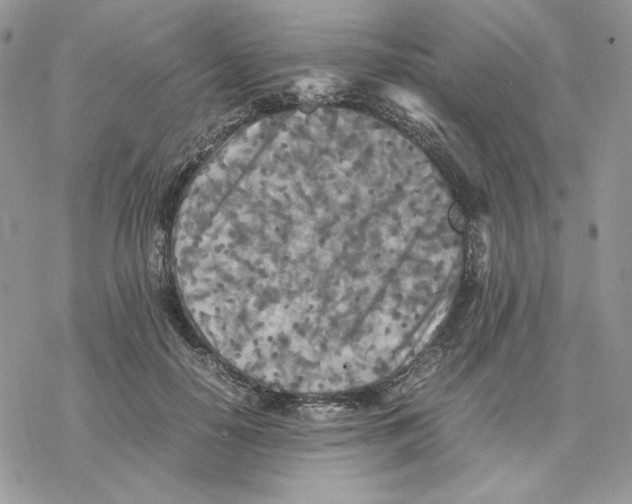 X0000077330650200611171808