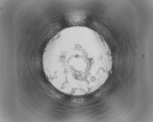 X0000077330653200611171808