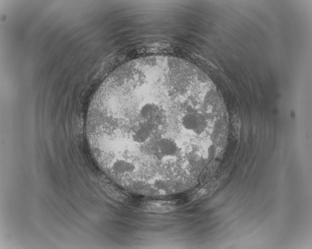 X0000077330657200611171809