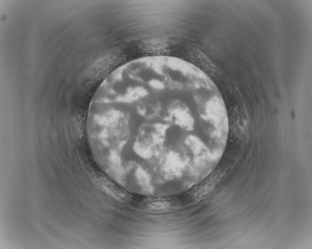 X0000077330658200611171809