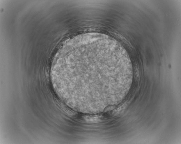 X0000077330661200611171809