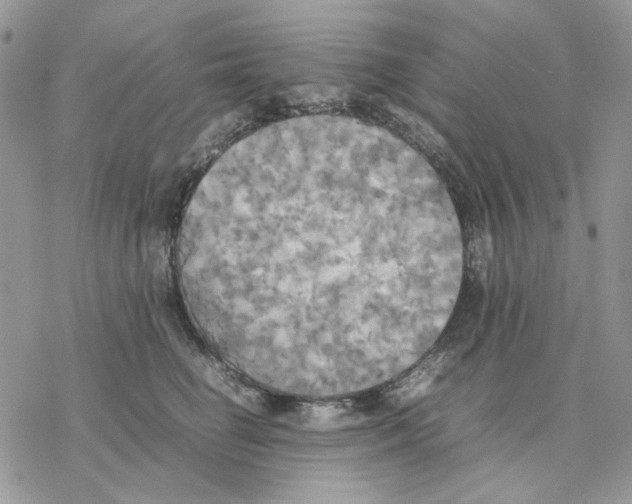 X0000077330662200611171809