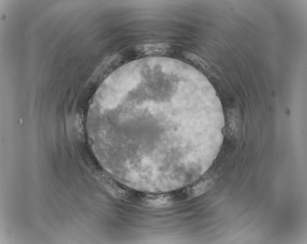 X0000077330667200611171809