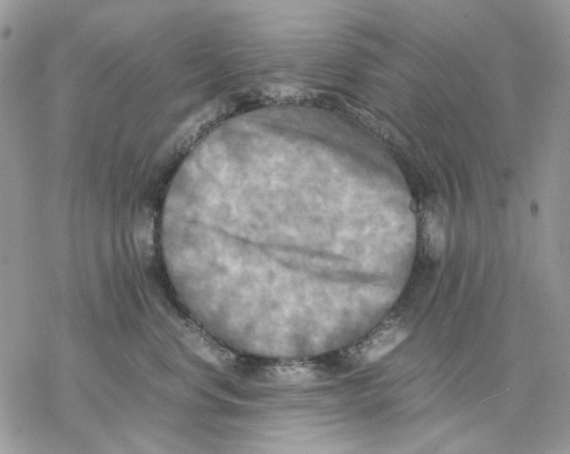 X0000077330668200611171809