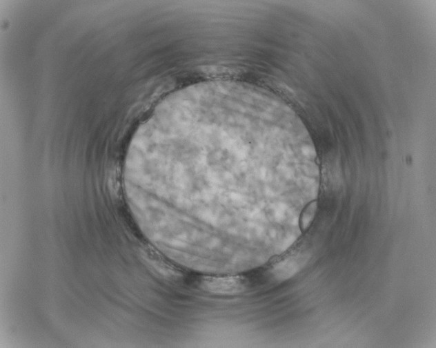 X0000077330671200611171809