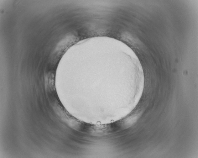 X0000077330672200611171809